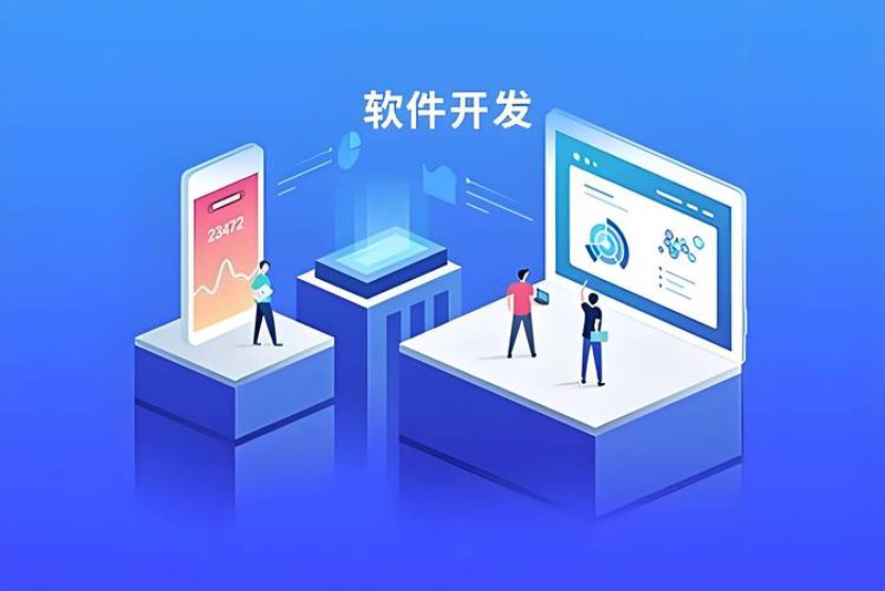 定制开发：软件行业的革新之力